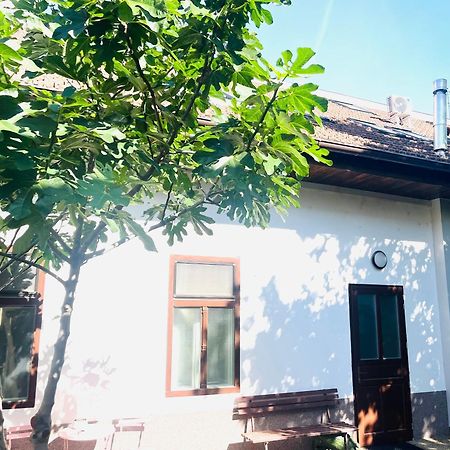 Jokai Apartman Komárno 외부 사진